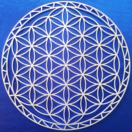 Flower of Life of Abydos