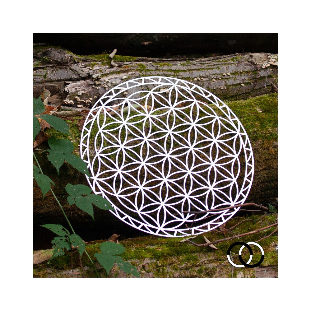 Flower of Life of Abydos Flower of Life of Abydos